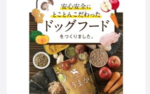 うまかドッグフードの太陽光に関する口コミ・評判